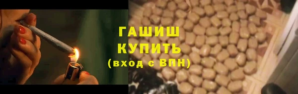 гашик Гусь-Хрустальный