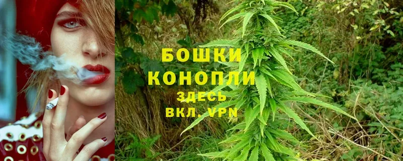 где можно купить   Северодвинск  Канабис OG Kush 